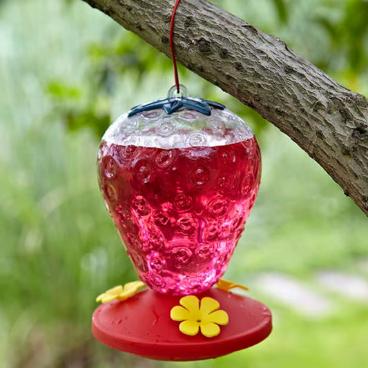 Bebedero para Colibrí en Forma de Fresa – 500 ml - COSMOS
