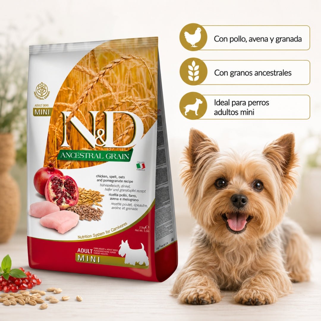 N&D Ancestral Grain Pollo adulto Mini 2.5kg - Cosmos