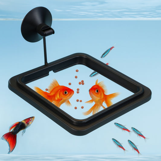 Anillo de Alimentación para Peces – Estación Flotante Cuadrada para Acuario 10x10 cm - COSMOS