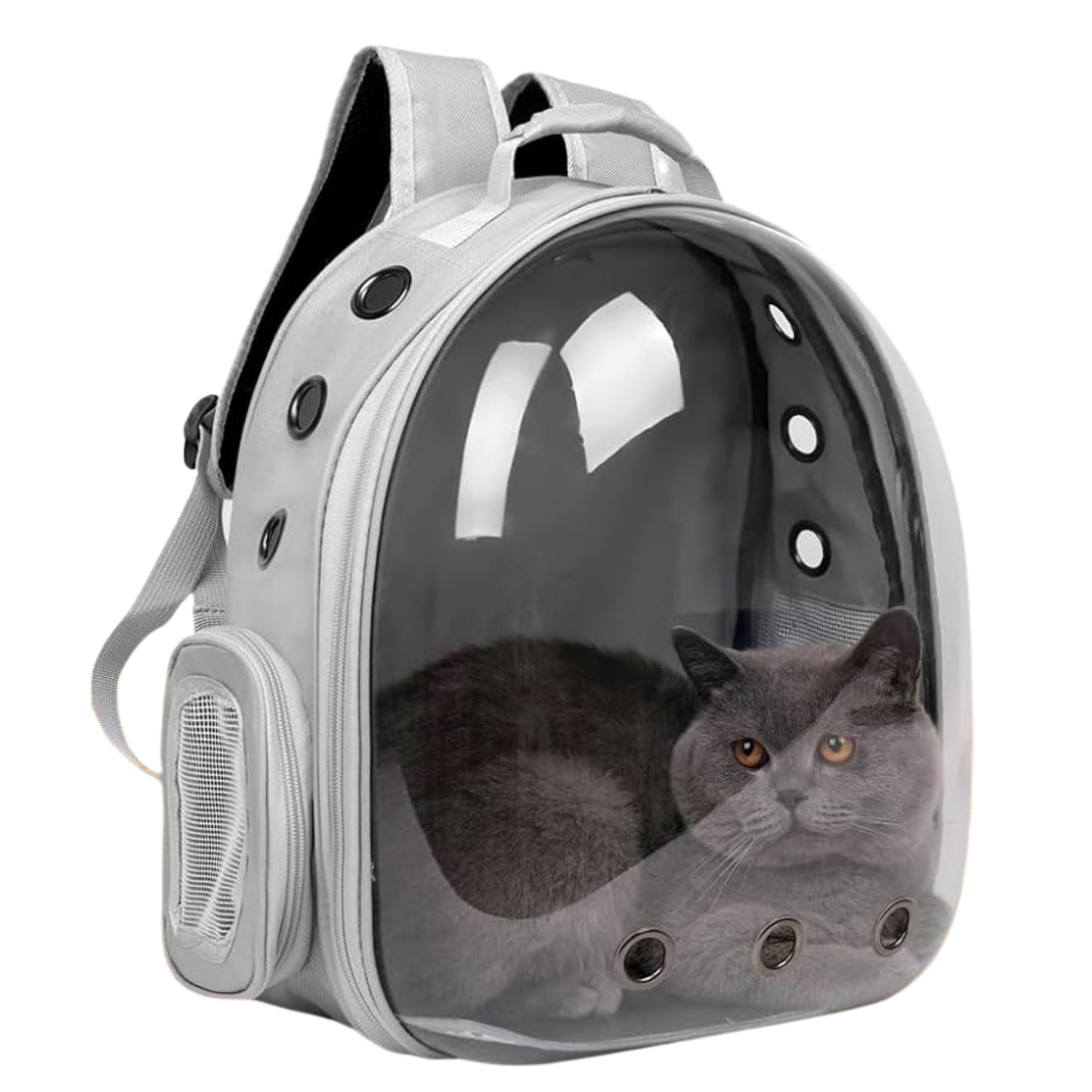 Mochila Transportadora Transparente – Diseño Futurista y Ventilado