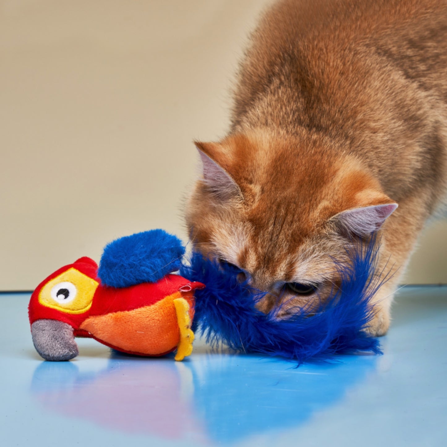GiGwi Melody Chaser |Juguete para Gatos con Sonido Interactivo - Cosmos