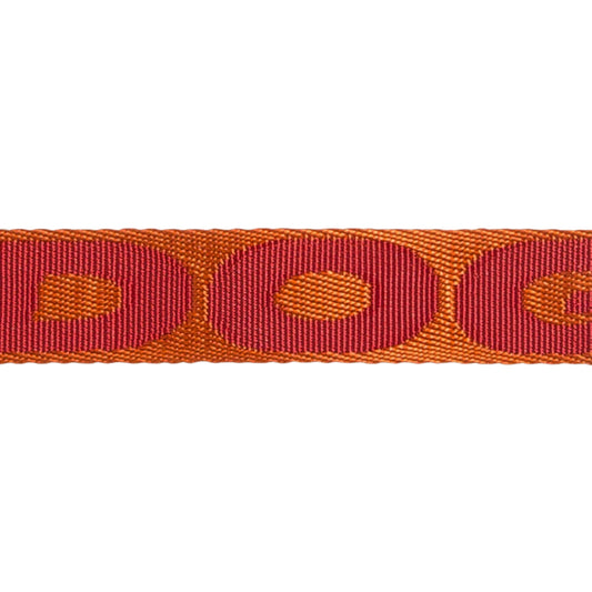 Zee.Cat Collar Gibson – Collar para Gatos Ajustable con Broche de Seguridad - Cosmos
