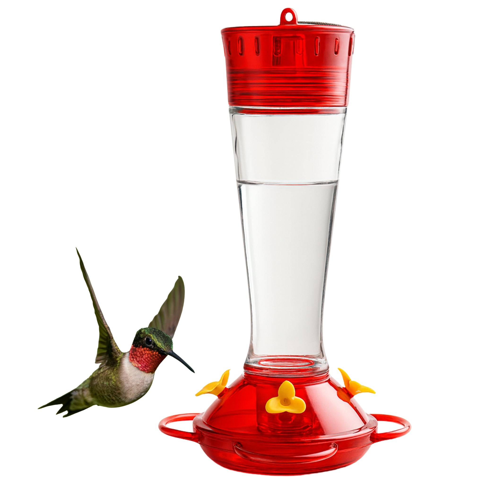 Bebedero para Colibrí de Vidrio con Puertos de Alimentación - Cosmos