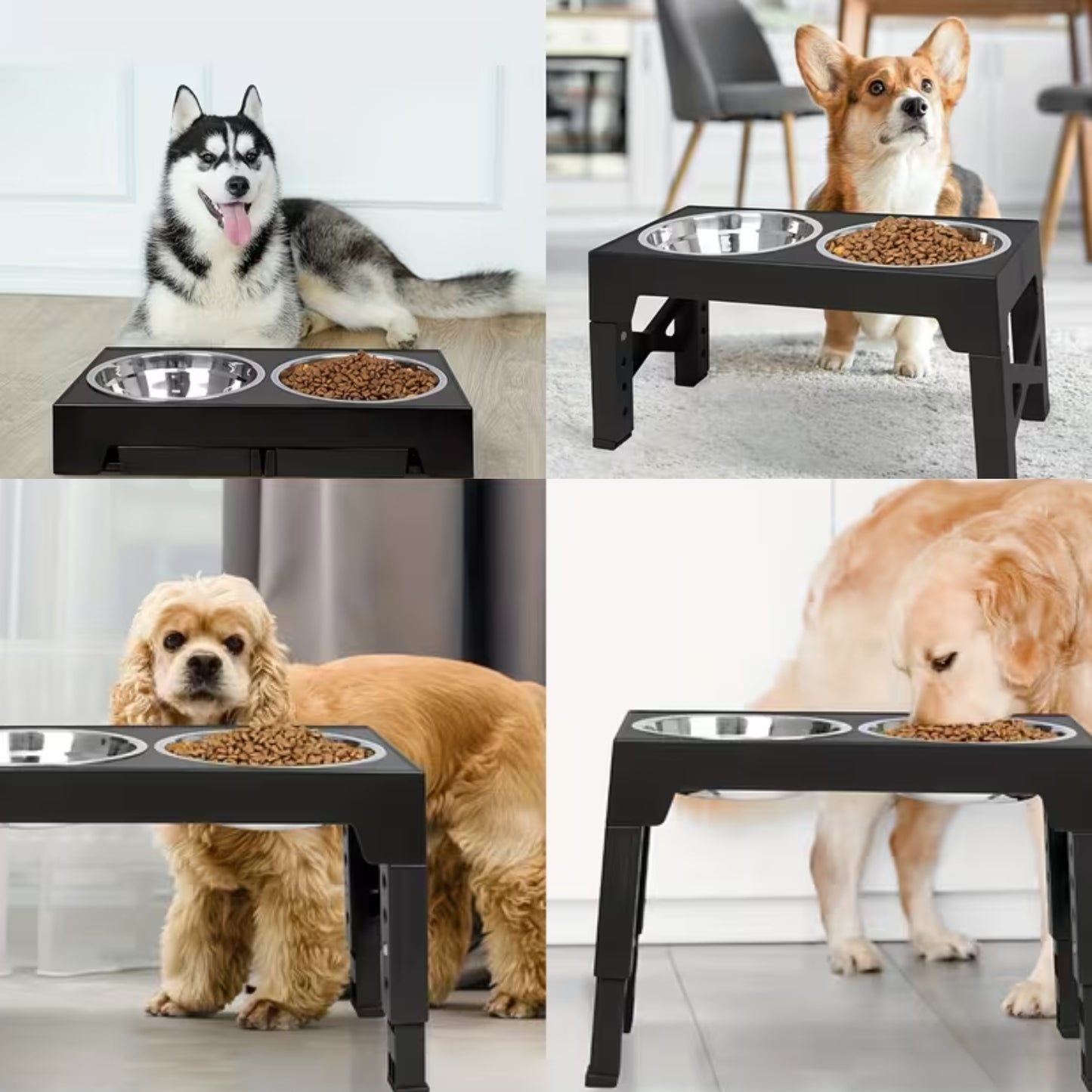 Plato Doble Elevado para Perros | Diseño Ajustable - Cosmos