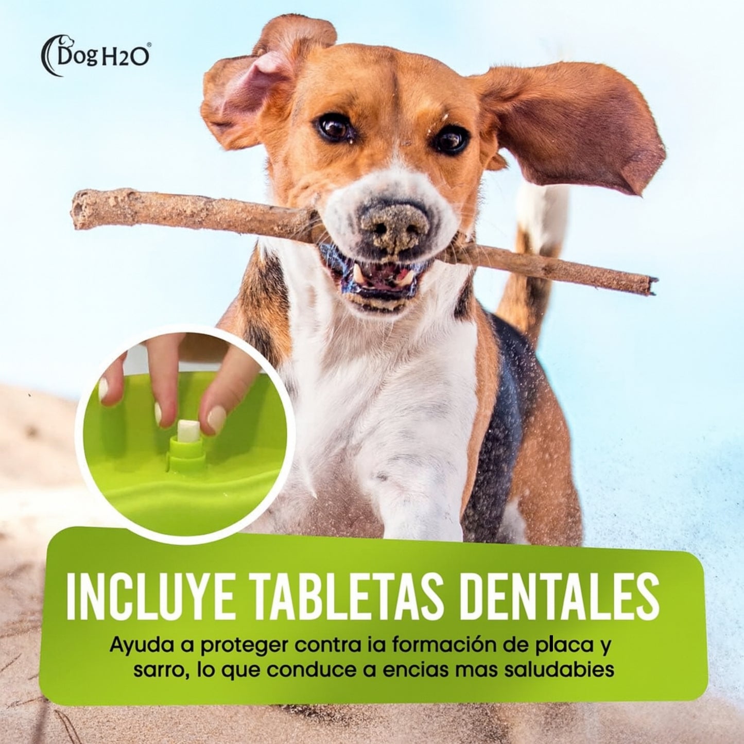 Dog H2O – Fuente de Agua Automática para Perros Grandes | 6 Litros