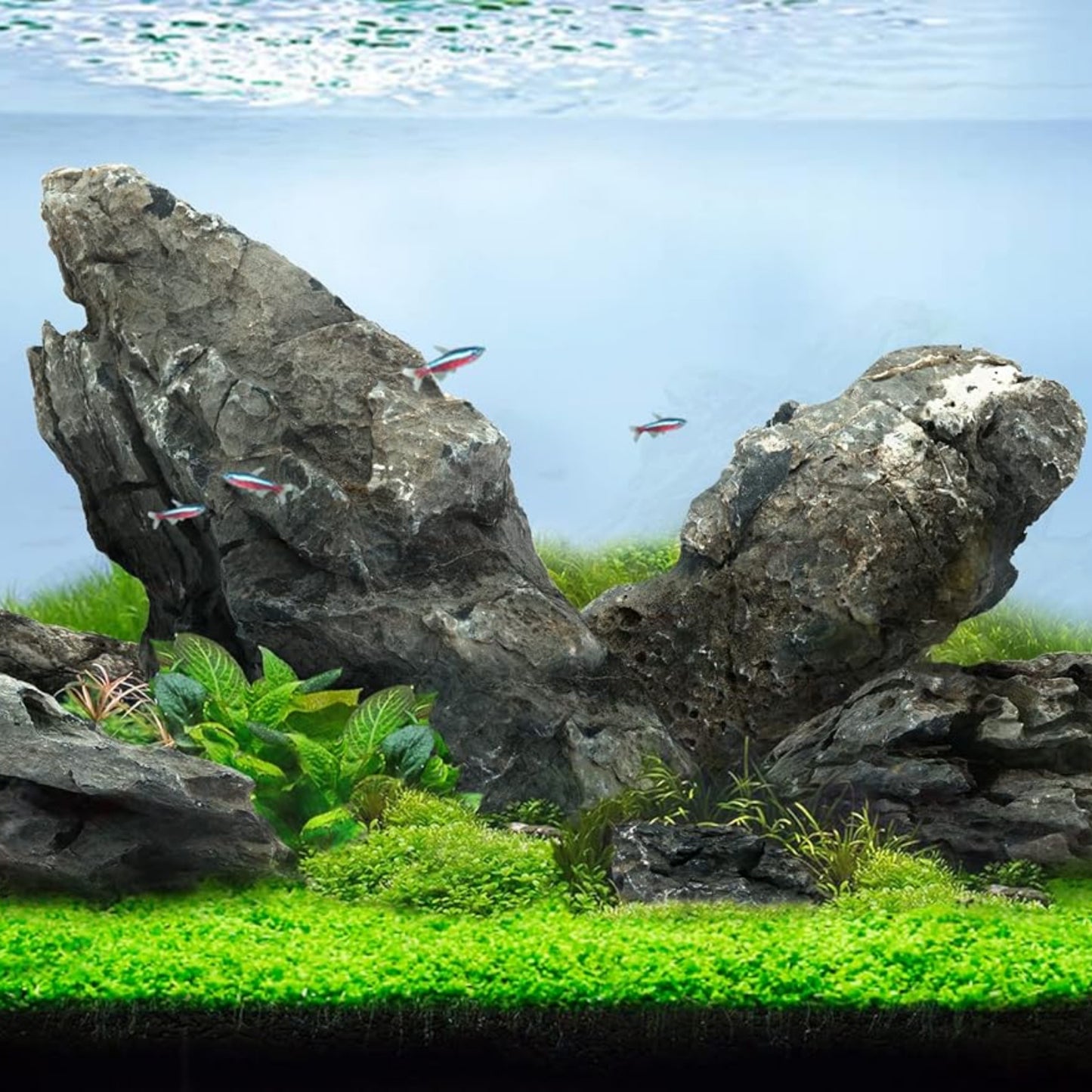 Roca TSINGLING para Acuario – 1 kg - COSMOS
