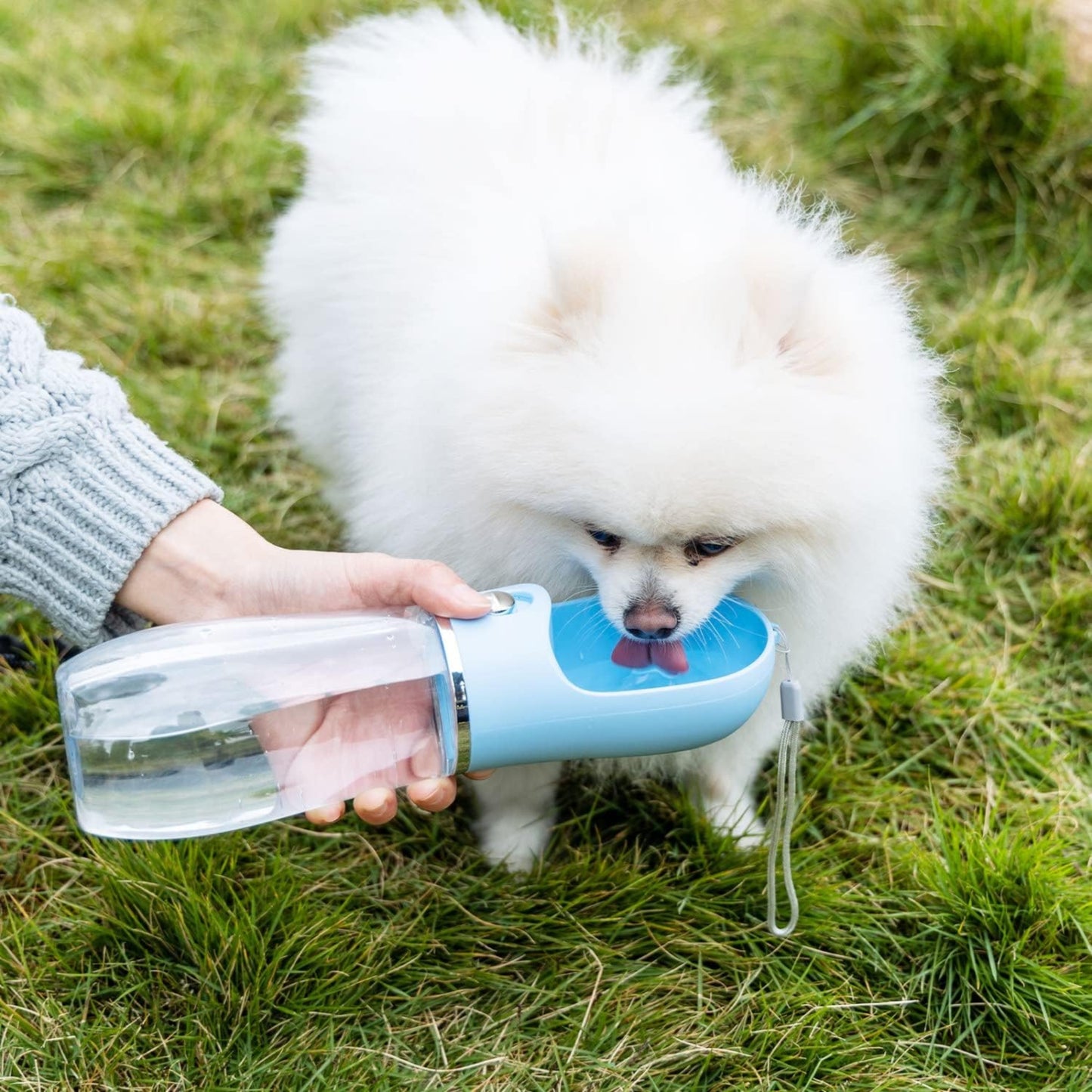 Botella de Agua Portátil para Perros – 500 ml | Sin BPA, A Prueba de Fugas, Ideal para Viajes y Paseos