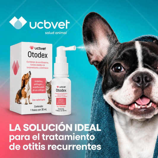 Otodex para Perros y Gatos - Solución Ótica Para Otitis Recurrente - Cosmos