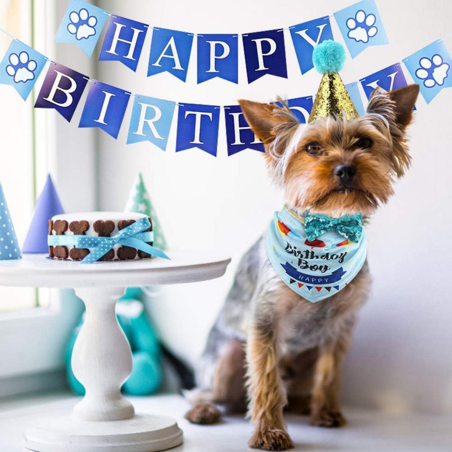 Kit Cumpleañero para Perro o Gato – 7 en 1