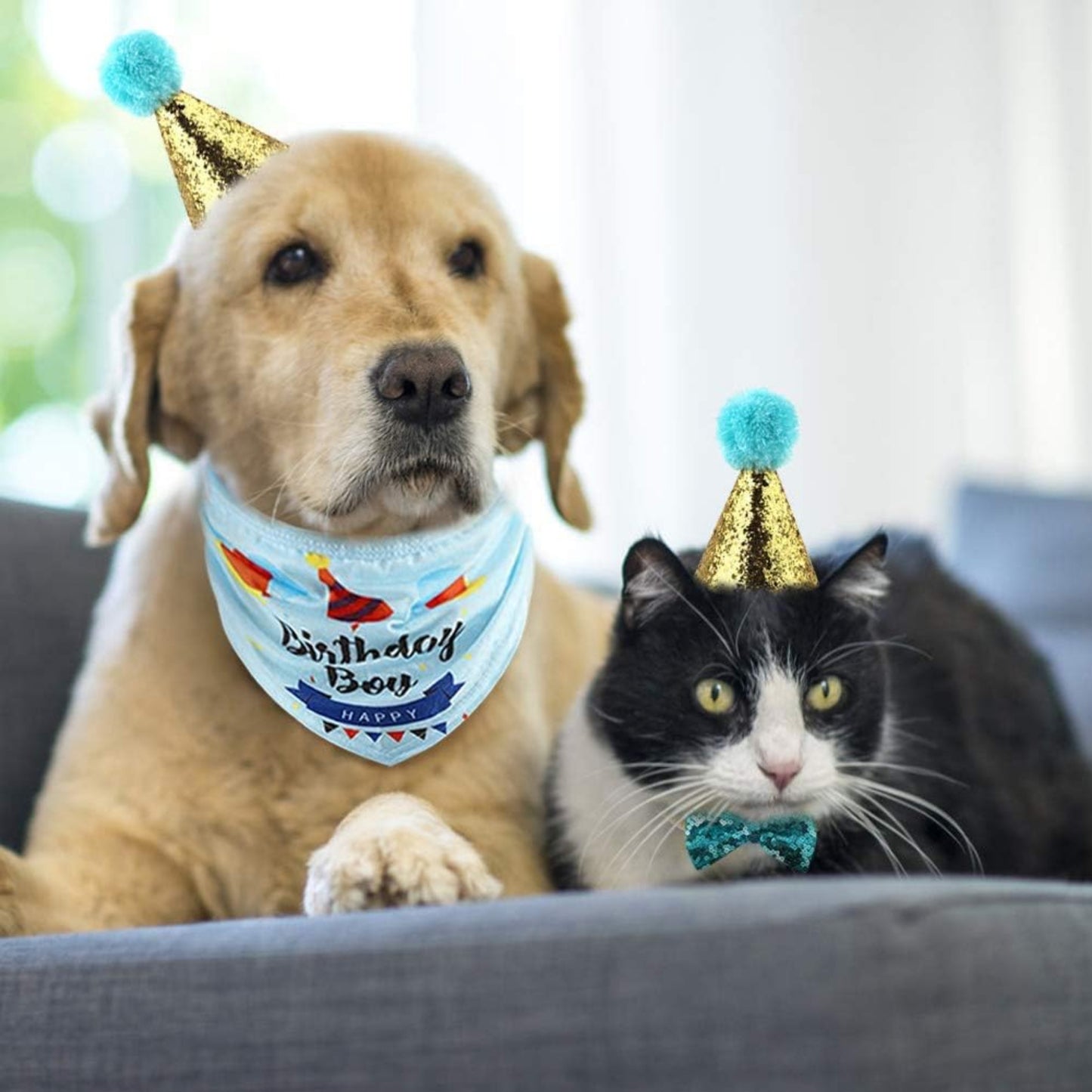 Kit Cumpleañero para Perro o Gato – 7 en 1