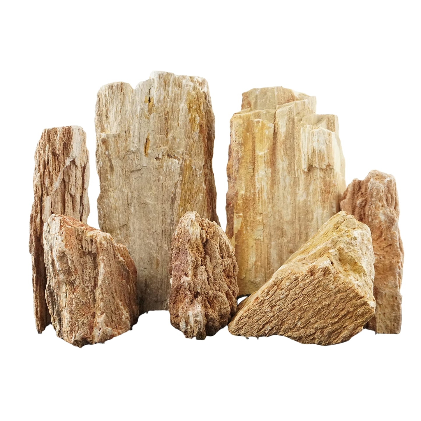 Rocas Red Wood Lines Petrificadas – 1 kg - COSMOS