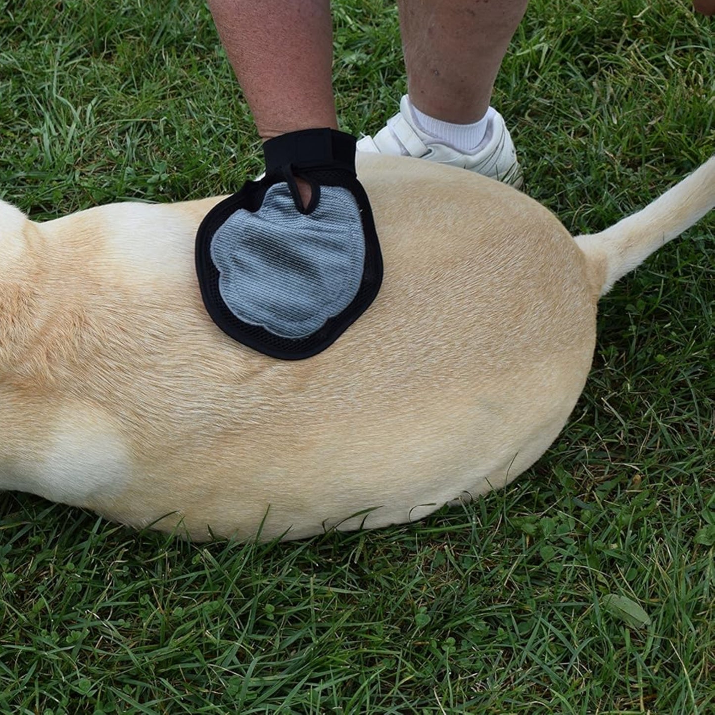 Guante Cepillo Masajeador DELUX para Perros