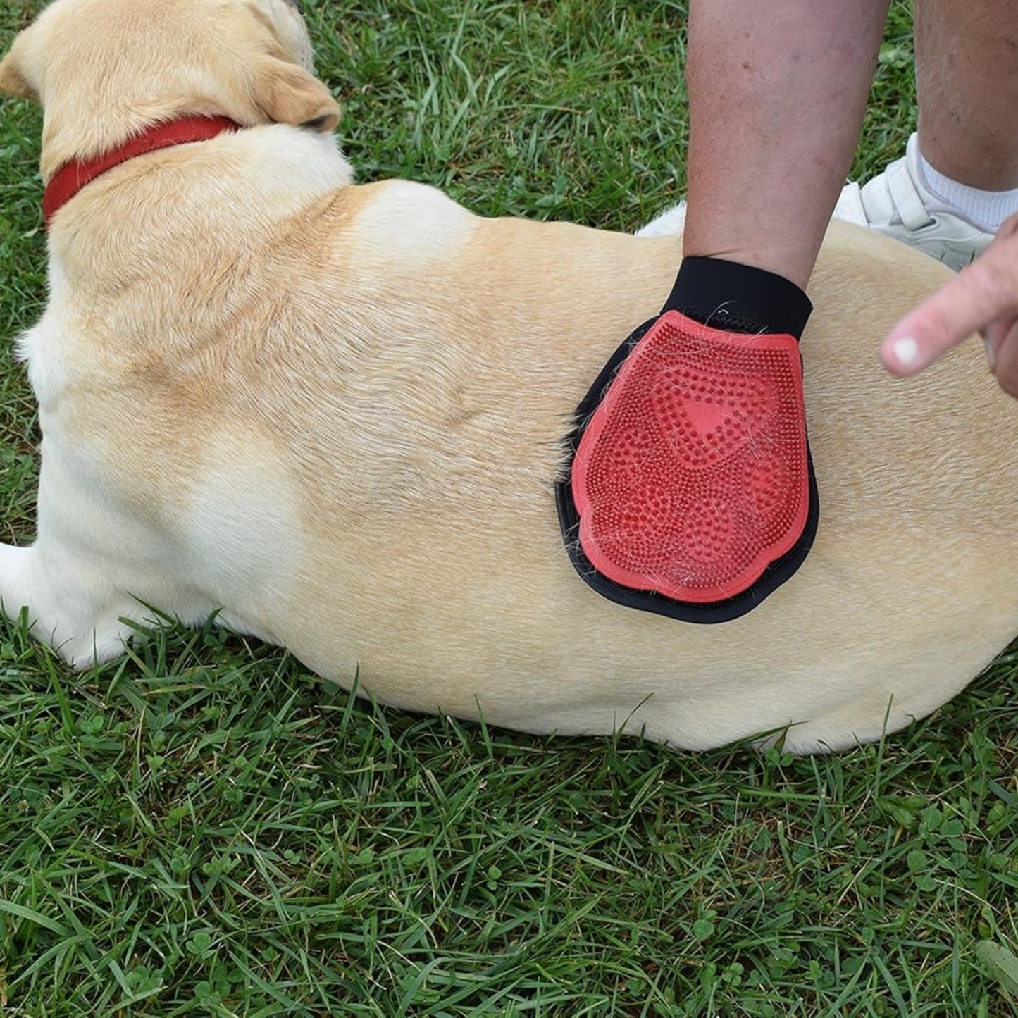 Guante Cepillo Masajeador DELUX para Perros