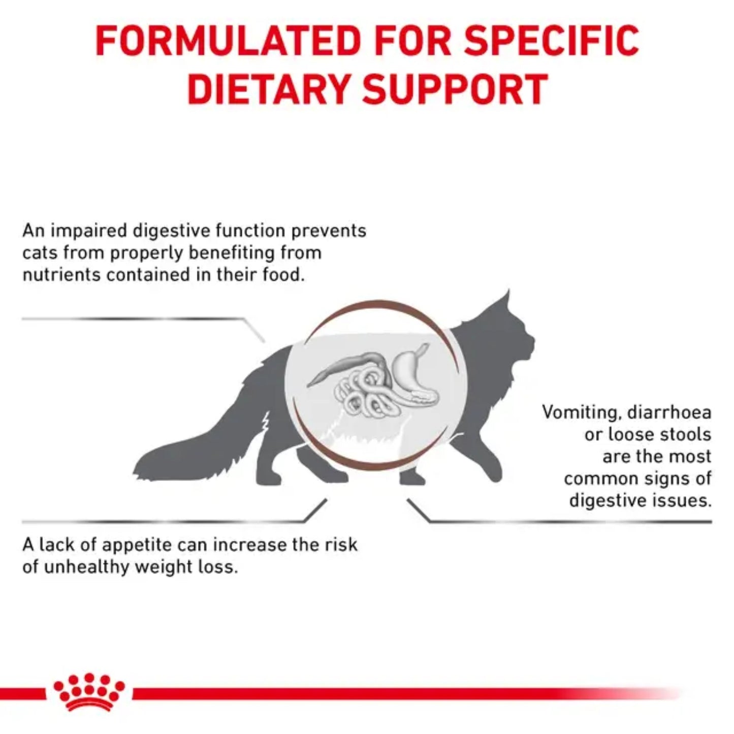 ROYAL CANIN® Gastrointestinal Gato – Dieta veterinaria para apoyo digestivo