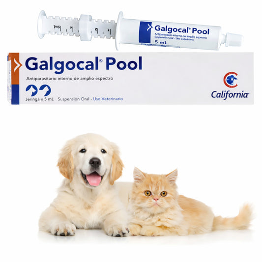 Galgocal Pool Suspensión Oral – Antiparasitario Interno para Perros y Gatos - Cosmos