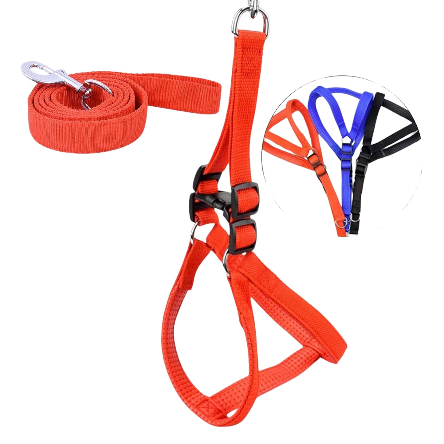 Arnés con Correa – Nylon resistente y diseño ajustable acolchado