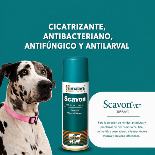 Scavon Vet Spray – Cicatrizante Antiséptico para Perros y Gato - Cosmos