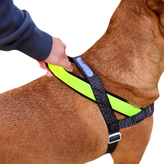 Zee.Dog Nox Softerwalk Harness - Arnés Ergonómico Refelectivo Anti - Tirones - Cosmos