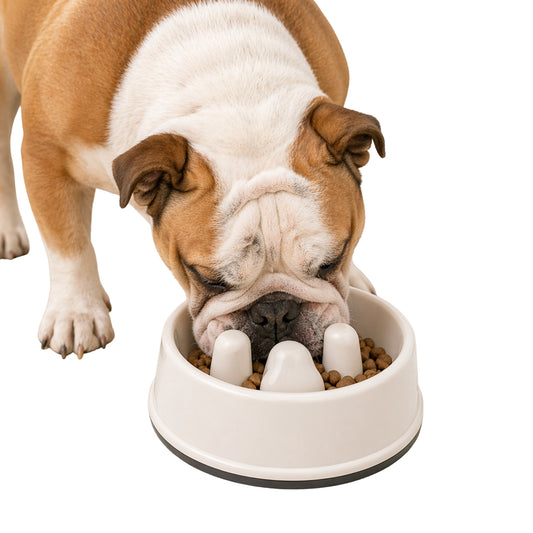 Plato Anti Ansiedad Huella para Perros – Slow Feeder - Cosmos