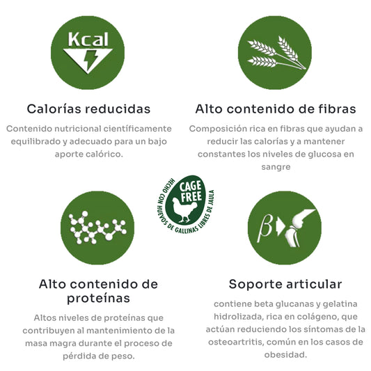 PremierPet Obesidad Razas Grandes - Alimento perros con problemas de peso. - COSMOS