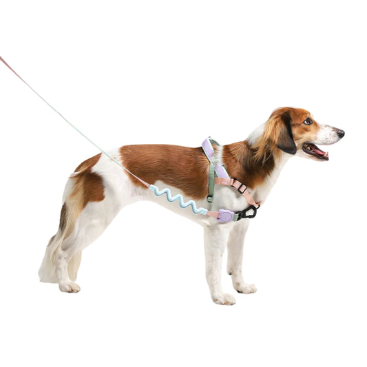 Zee.Dog Peach Softer Walk Harness – Arnés Ajustable Anti - Tirones - Cosmos