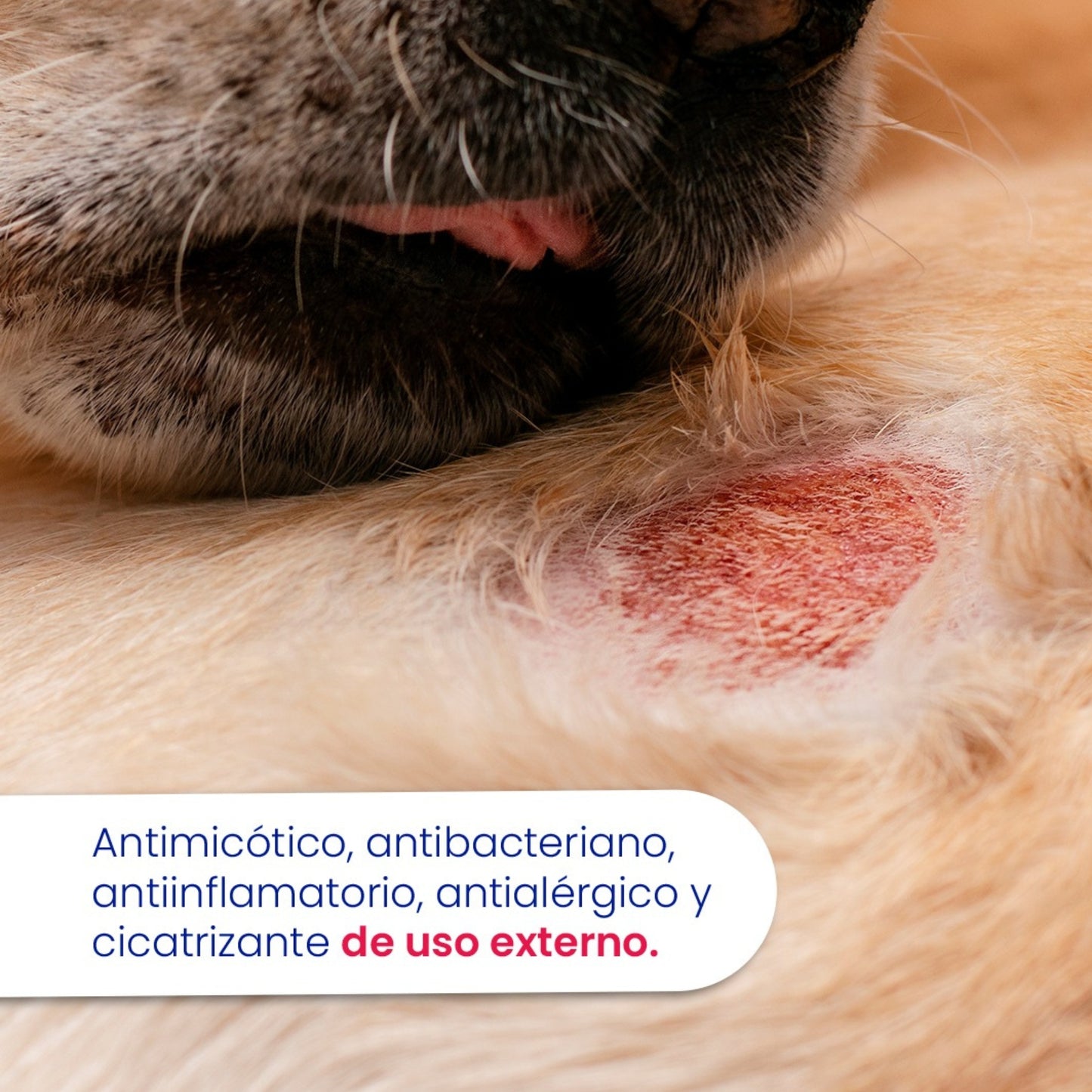 Saniderm – Crema tópica veterinaria de acción integral