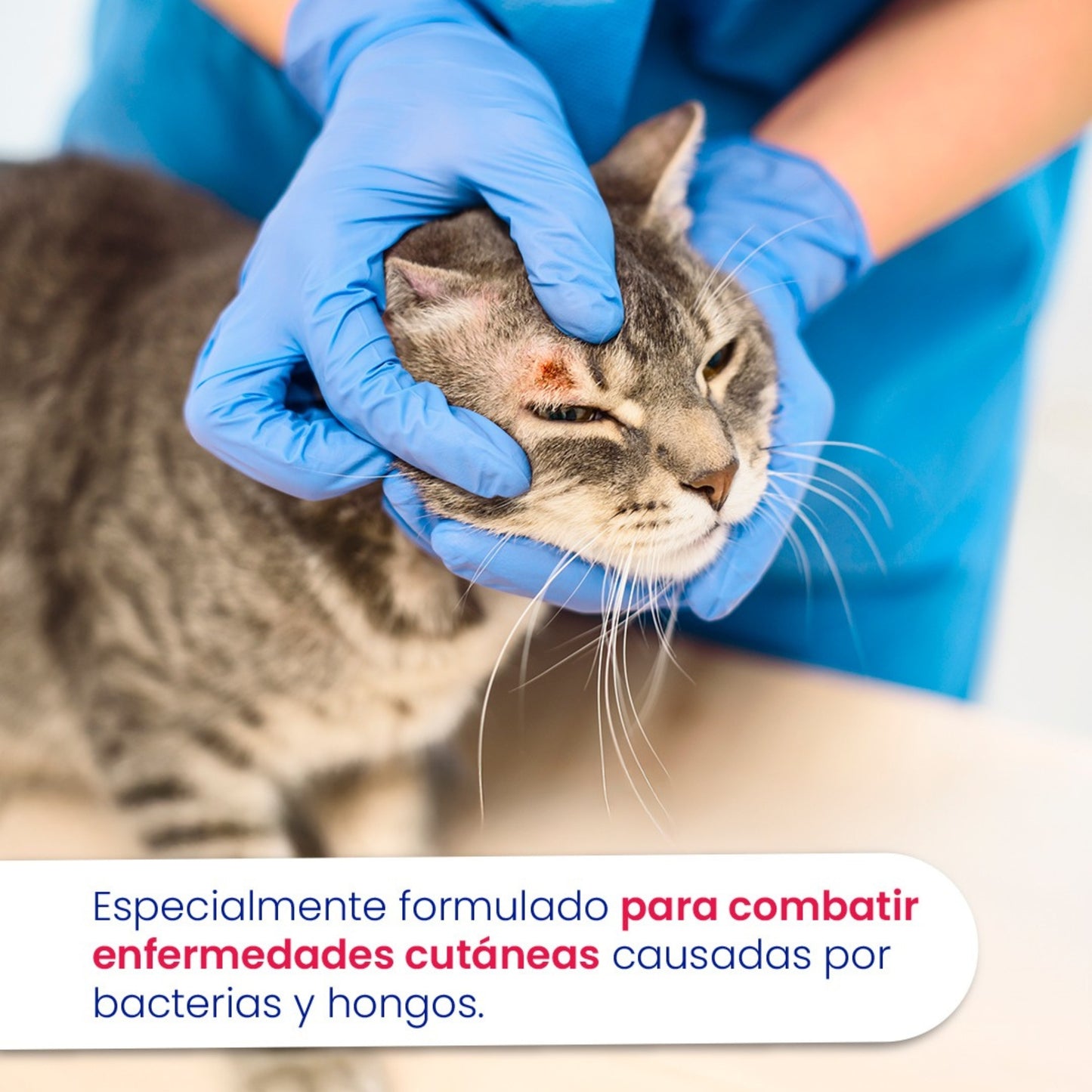 Saniderm – Crema tópica veterinaria de acción integral