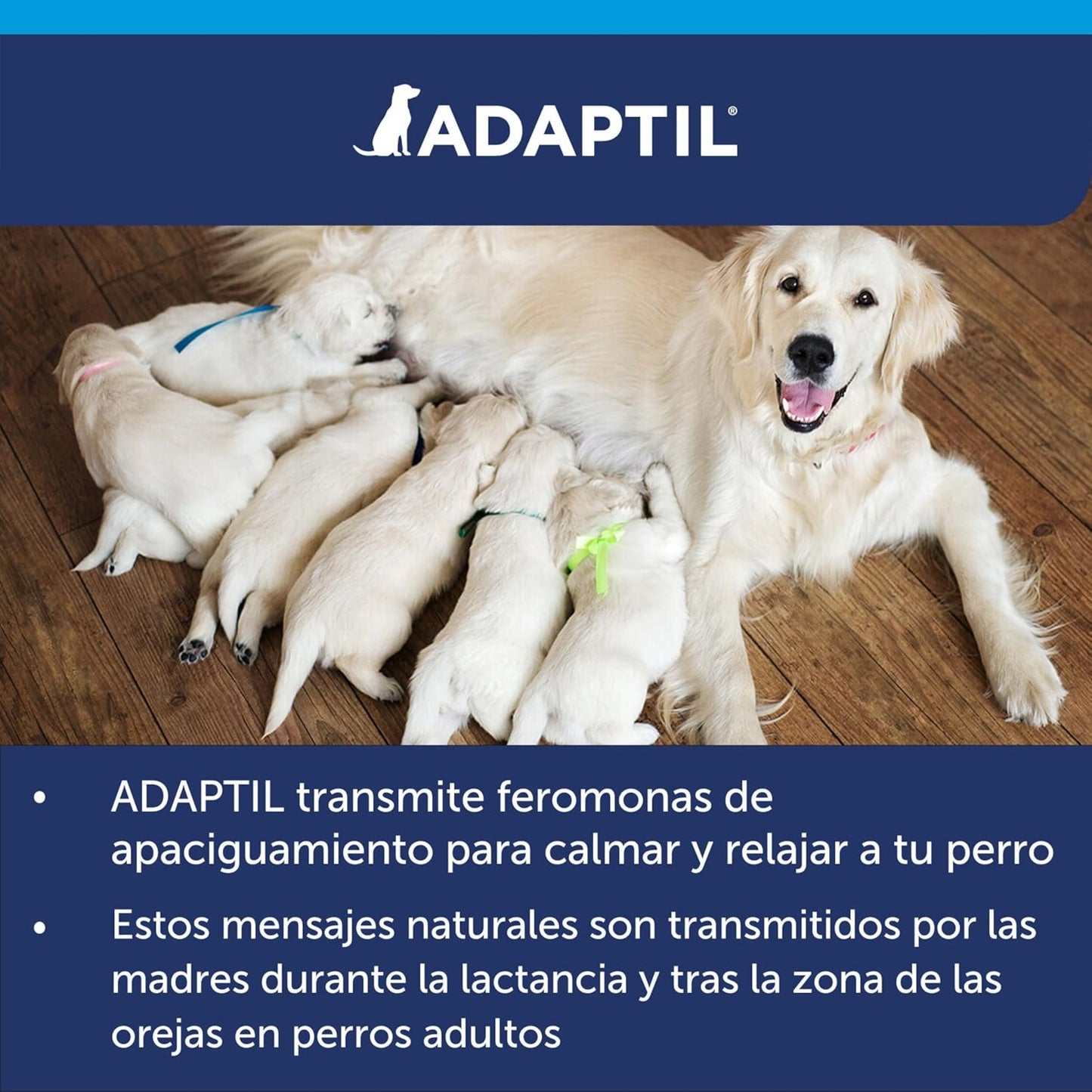 Adaptil Spray Transport Perros – Para reducir el estrés durante viajes