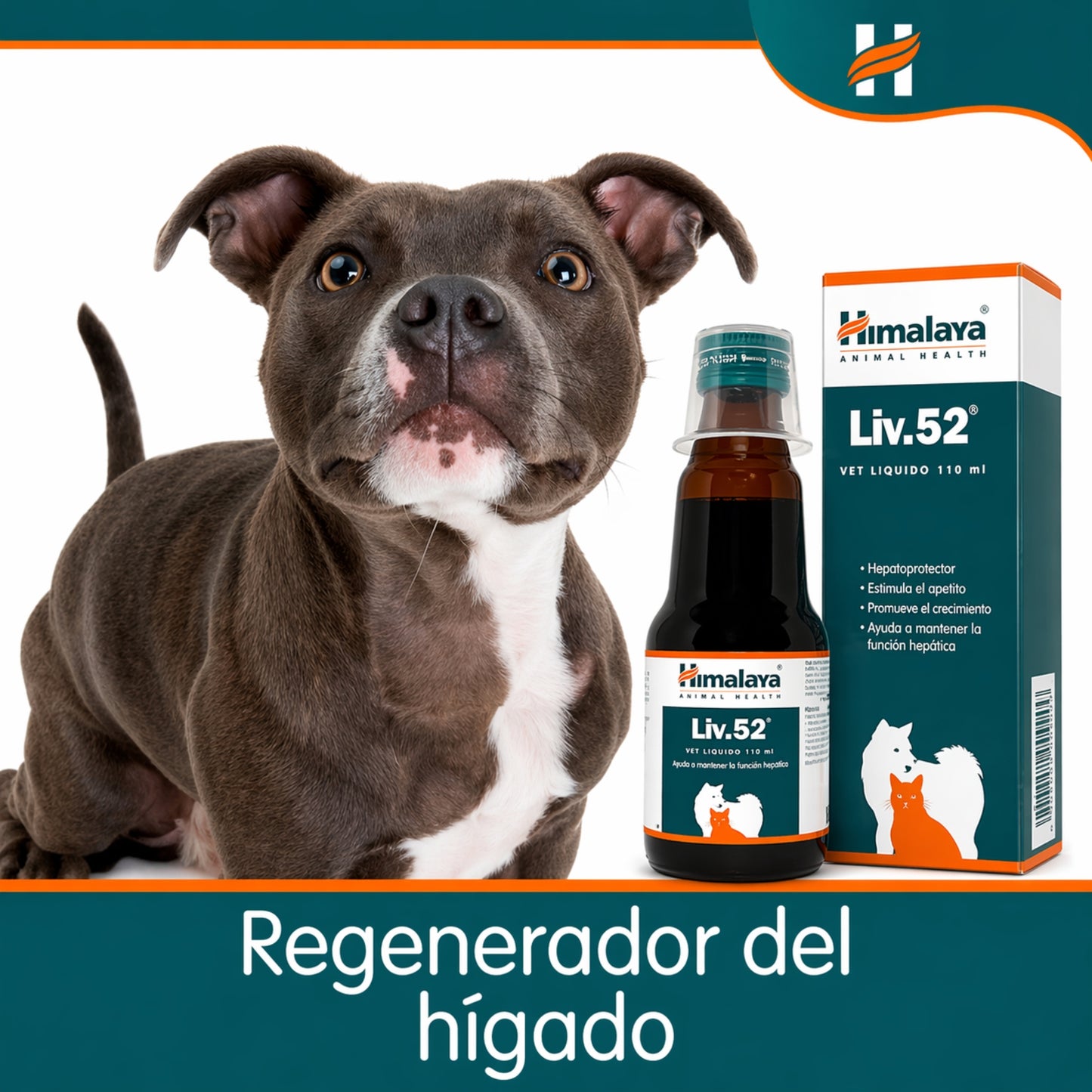 Liv.52 Vet – Protector Hepático y Estimulante del Apetito para Perros y Gatos - Cosmos