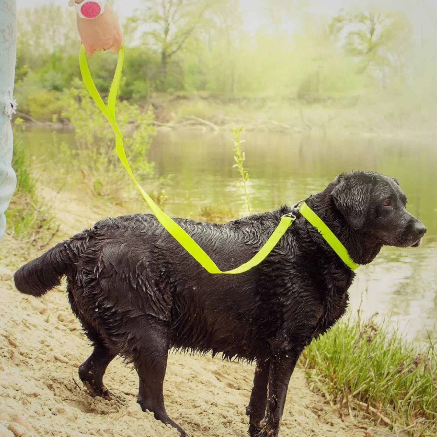 WAUDOG Water Leash 15 mm