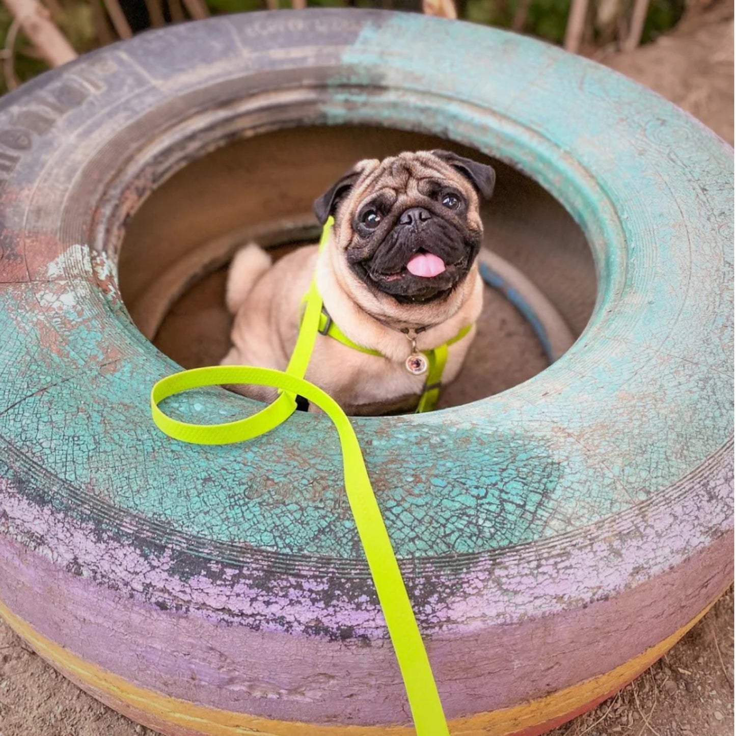 WAUDOG Water Leash 15 mm