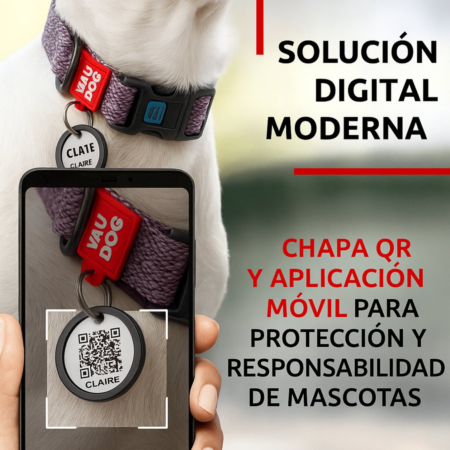 WAUDOG Nylon Collar Design Blocks