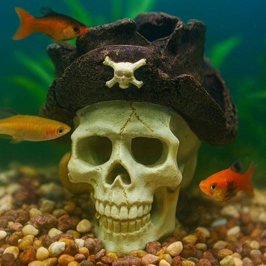 Adorno de Resina – Calavera Pirata para Pecera - COSMOS