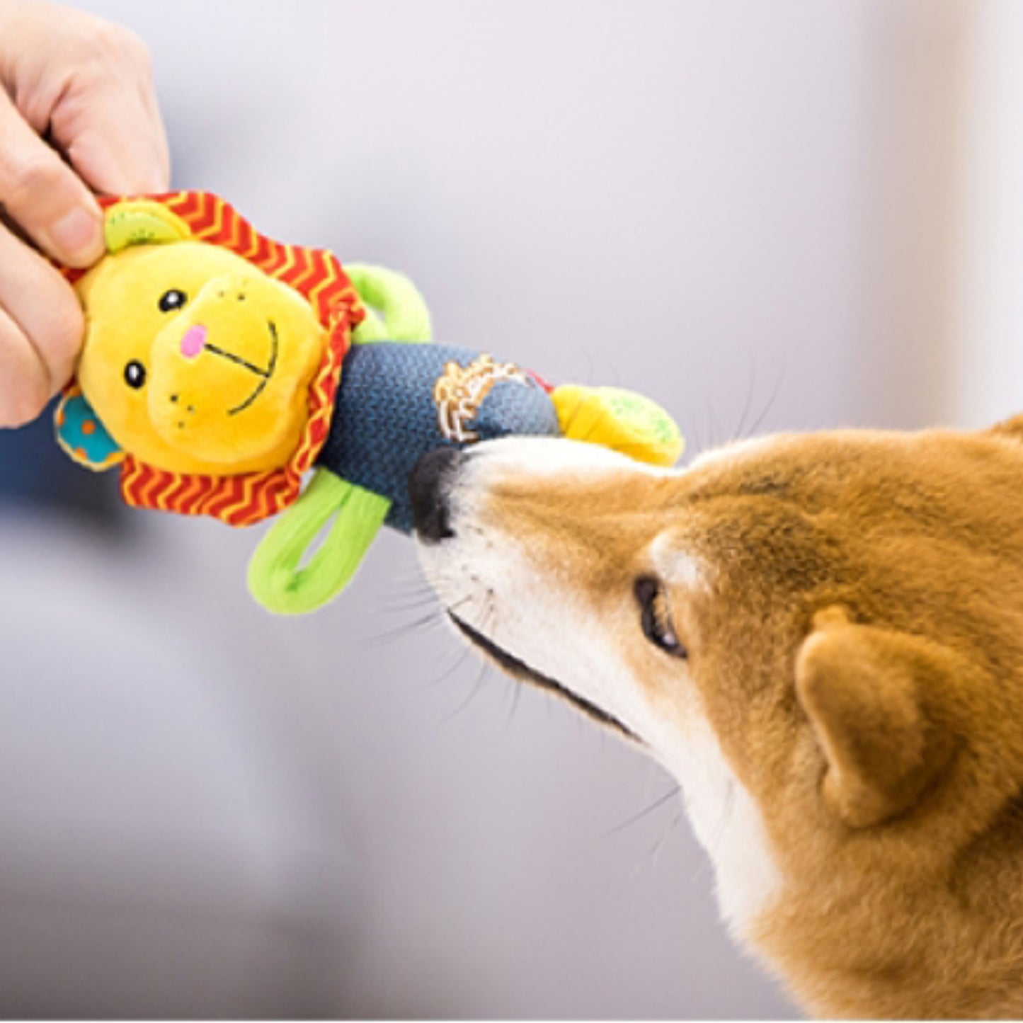Juguete GIGWI Plush Friendz – León de Felpa - Cosmos