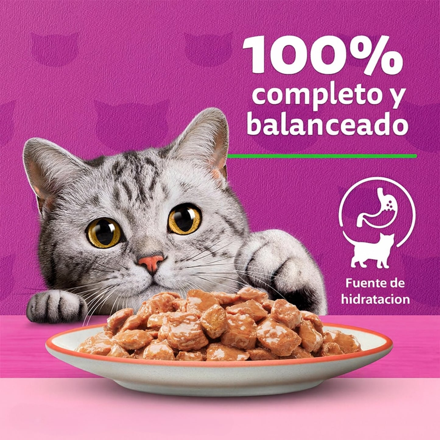 Whiskas Adulto Mix – Pack de 5 Sobres de Alimento Húmedo para Gatos (5 x 85 g)