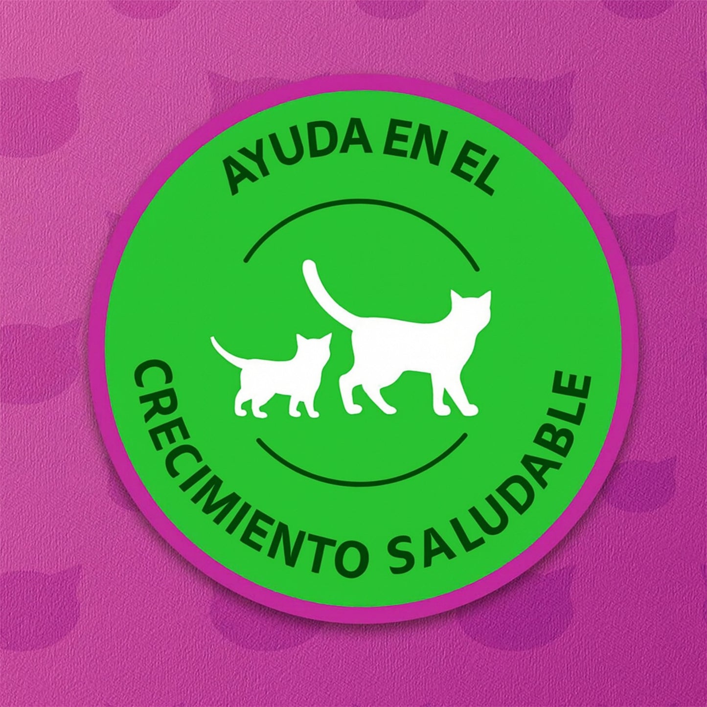 Whiskas Cachorro Mix – Pack de 5 Sobres de Alimento Húmedo para Gatos (5 x 85 g)