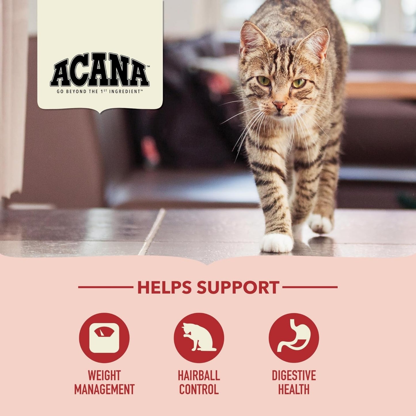 ACANA™ Indoor Entrée – Gatos de Interior | Pescado