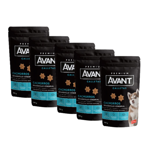 Avant Galleta Cachorros – Snack para Perros - COSMOS