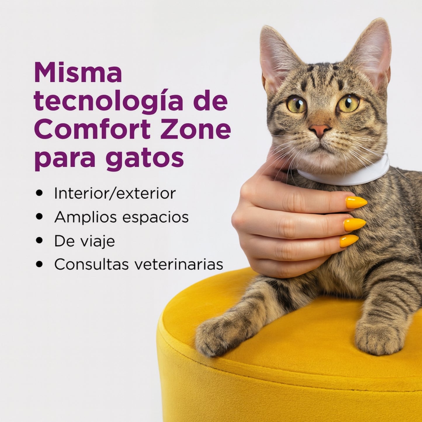 Collar Calmante Comfort Zone para Gatos – Feromonas Naturales | 30 Días de Efecto