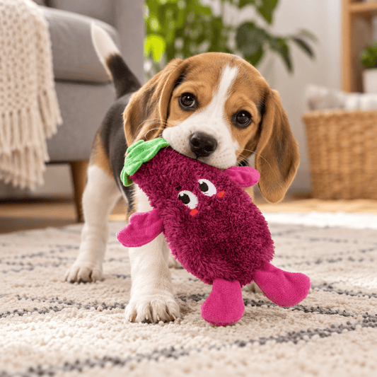 Juguete de Peluche Berenjena con Sonido para Perro GiGwi Suppa - Cosmos