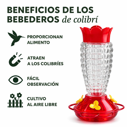 Bebedero para Colibrí de Vidrio con Base Floral - Cosmos