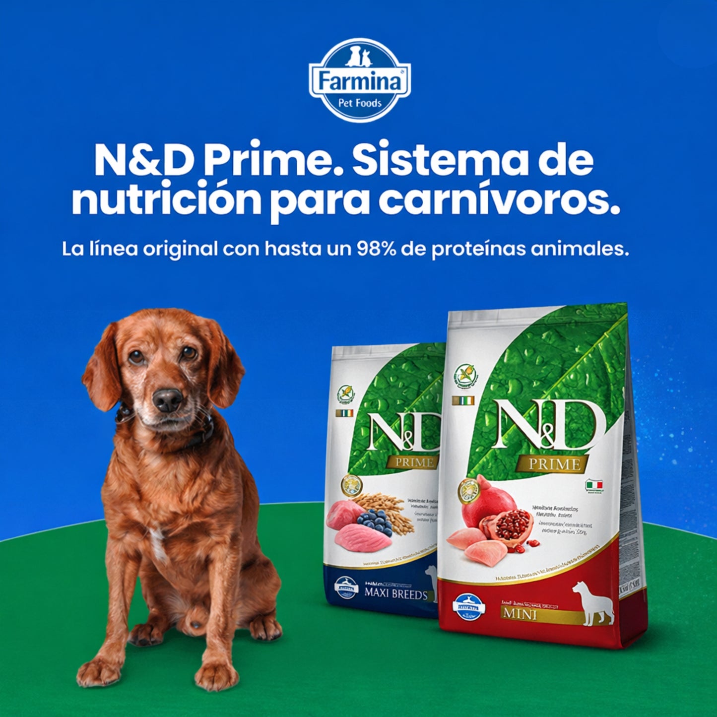 N&D Prime Cordero Adult Medium - Cosmos