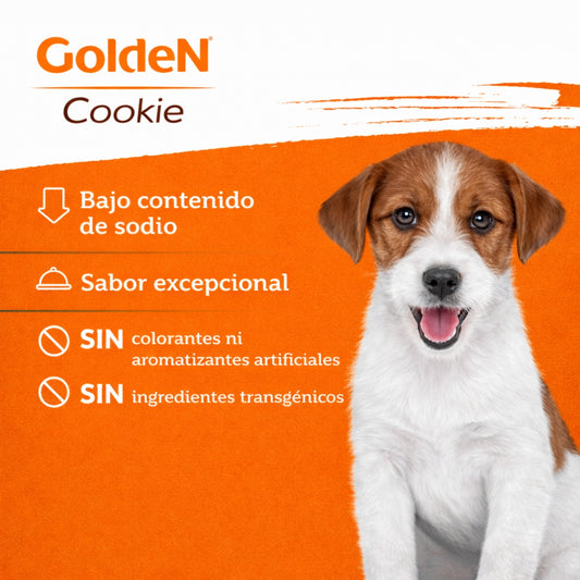 2 Pack Golden Galletas Cachorros Salmón y Quinoa 350g - Cosmos