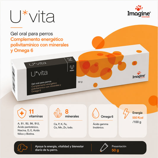 Uvita Gel Oral – Energía, vitalidad y nutrición para perros - Cosmos