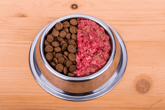 Por qué el alimento seco de alta calidad supera al BARF - Cosmos