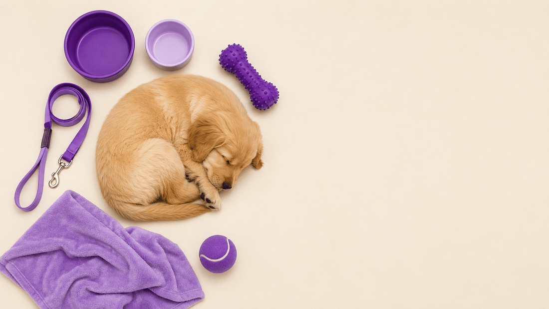 Qué comprar para un cachorro: checklist completo del primer mes - Cosmos