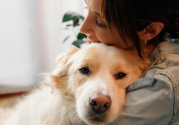 El poder emocional de los animales de compañía: más que una conexión, una terapia - Cosmos