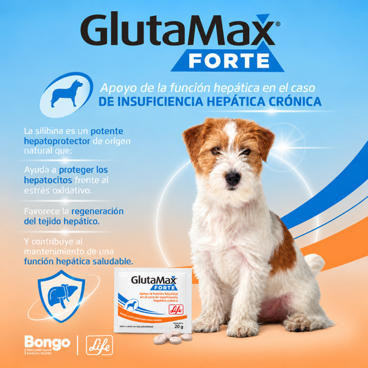 GlutaMax Forte Hepatoprotector para Perros