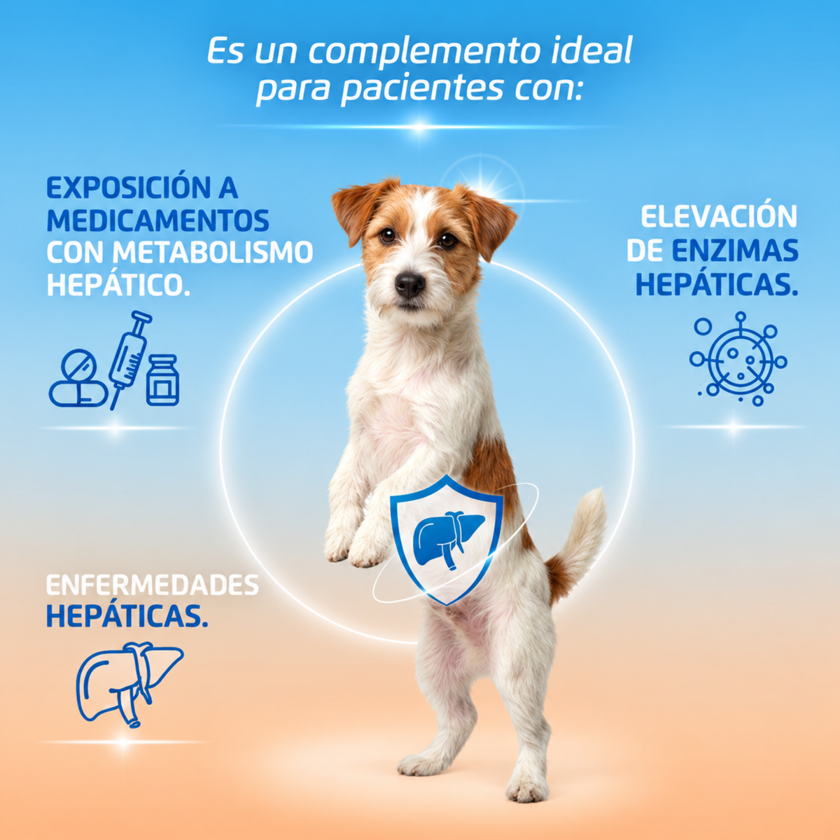 GlutaMax Forte Hepatoprotector para Perros