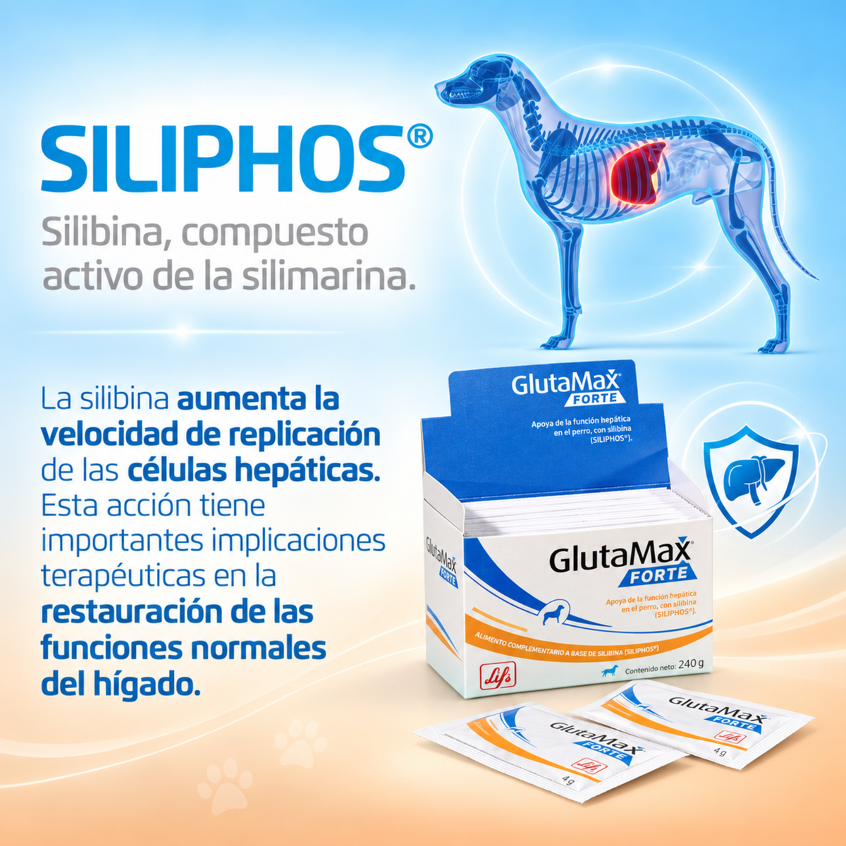 GlutaMax Forte Hepatoprotector para Perros
